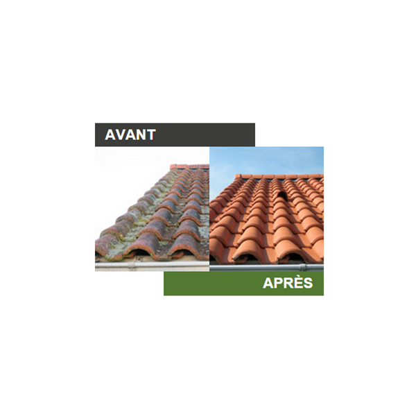 Traitements Des Toitures Algimouss Pro - Traitement Fongicide Toitures Murs Et Façades - Bidon De 30 Litres – Image 2