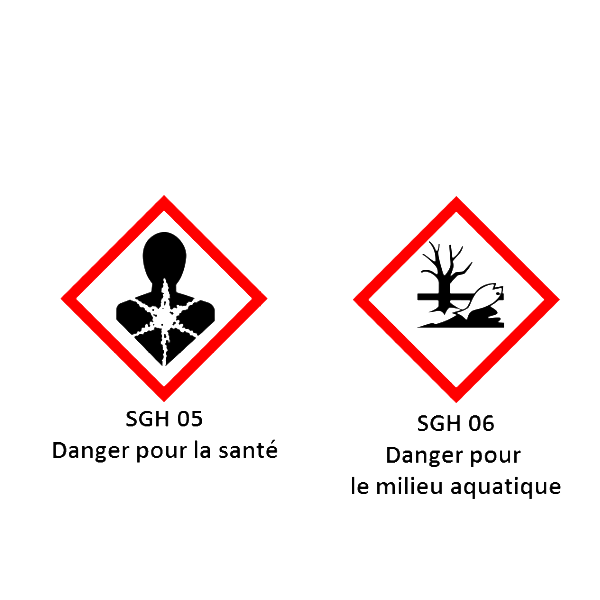 Traitement Du Bois Traitement Curatif Insecticide Bois - TX202 XP Cecil - Incolore - Bidon 5L – Image 2