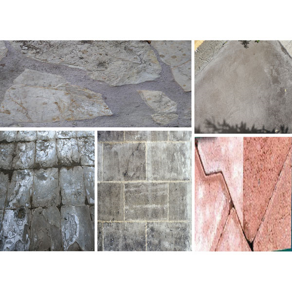 Nettoyant Dallage Nettoyant Voiles De Ciment Dallage Carrelage ALGICIM 5l Algimouss 006002 – Image 2