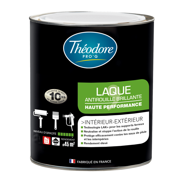 Theodore Peintures Antirouille Et Spéciales Fer Peinture Laque Antirouille Pour Métaux - Protexfer Théodore BTP - Coloris Blanc - Pot De 1 Litre