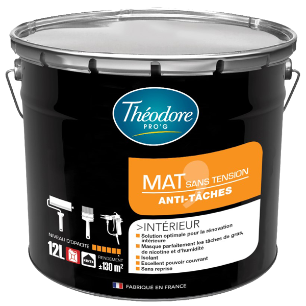 Théodore Prog Peinture Pour Plafonds Et Murs Peinture Intérieure Rénovation Anti-tâches Théodore Pro'G Blanc Mat 12L